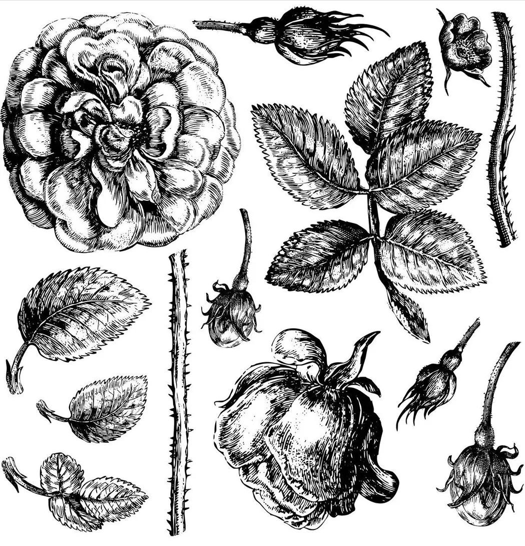 Lady of Shallot 12x12 Decor Stamps (30x30cm) 2 sayfa