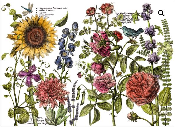 Botanists Journal Transfer Pad 30x40cm (4 sayfa)