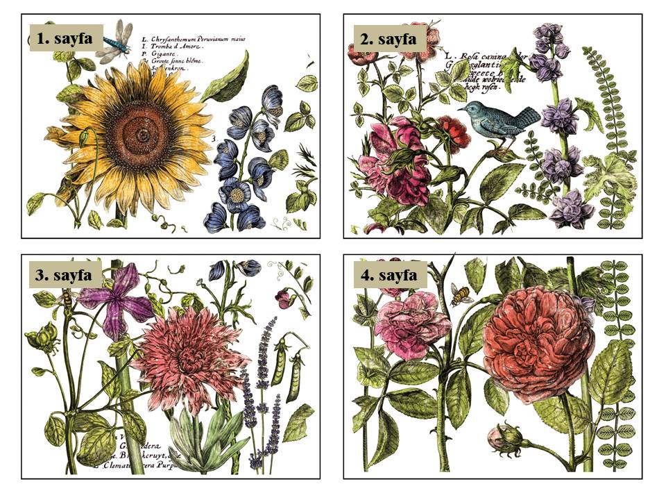 Botanists Journal Transfer Pad 30x40cm (4 sayfa)