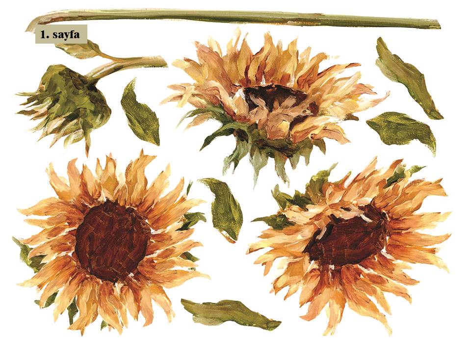 Painterly Flowers Transfer Pad 30x40cm (8 sayfa)