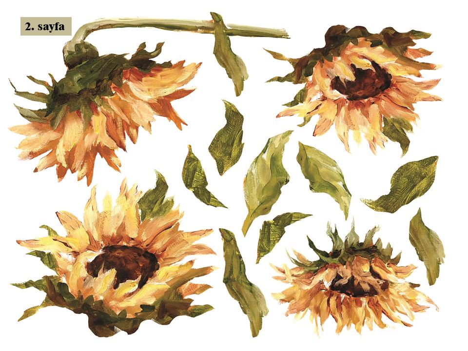 Painterly Flowers Transfer Pad 30x40cm (8 sayfa)