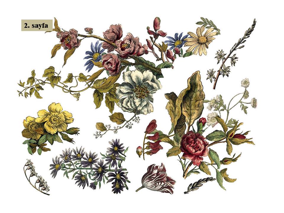 Floral Anthology Transfer Pad 30x40cm (4 sayfa)