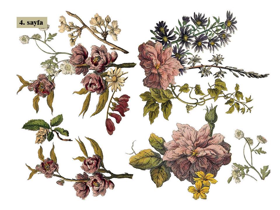 Floral Anthology Transfer Pad 30x40cm (4 sayfa)