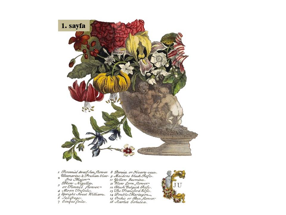 June Decor Transfer Pad 30x40cm (4 sayfa)