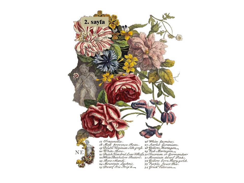 June Decor Transfer Pad 30x40cm (4 sayfa)