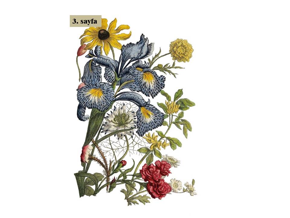 June Decor Transfer Pad 30x40cm (4 sayfa)