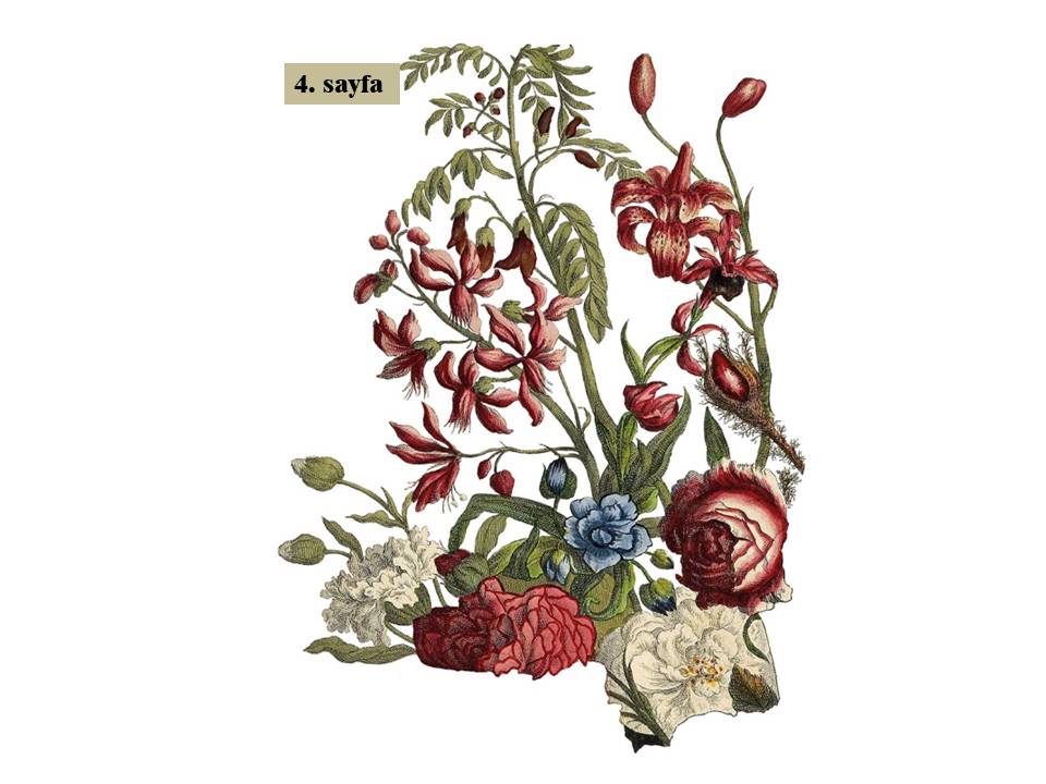 June Decor Transfer Pad 30x40cm (4 sayfa)