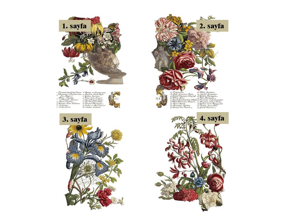 June Decor Transfer Pad 30x40cm (4 sayfa)