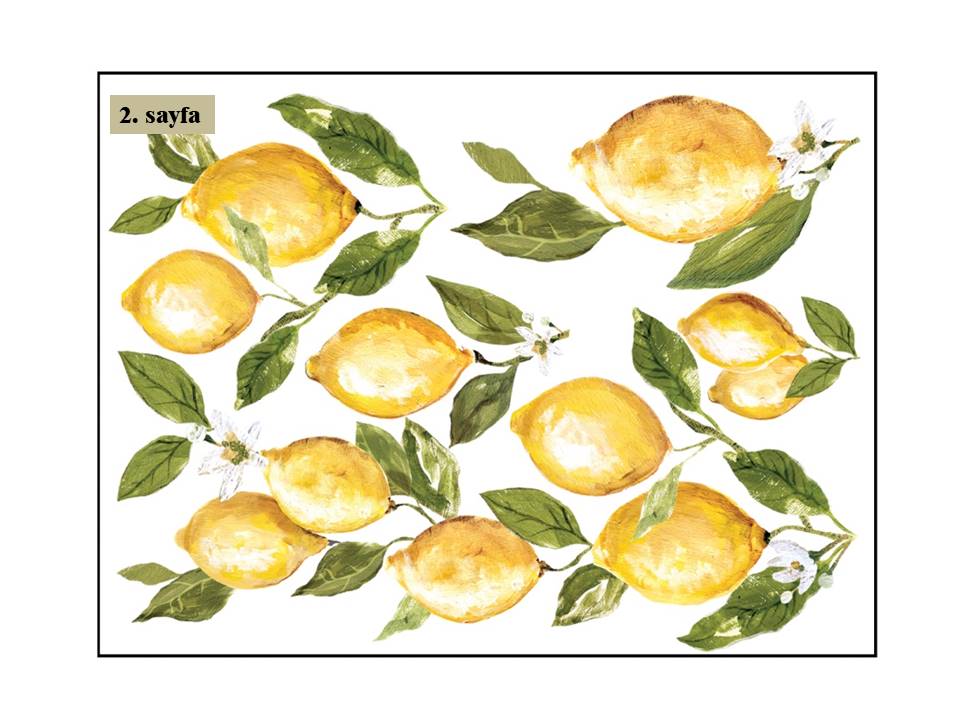 Lemon Drops Decor Transfer Pad 40x30cm (4 sayfa)