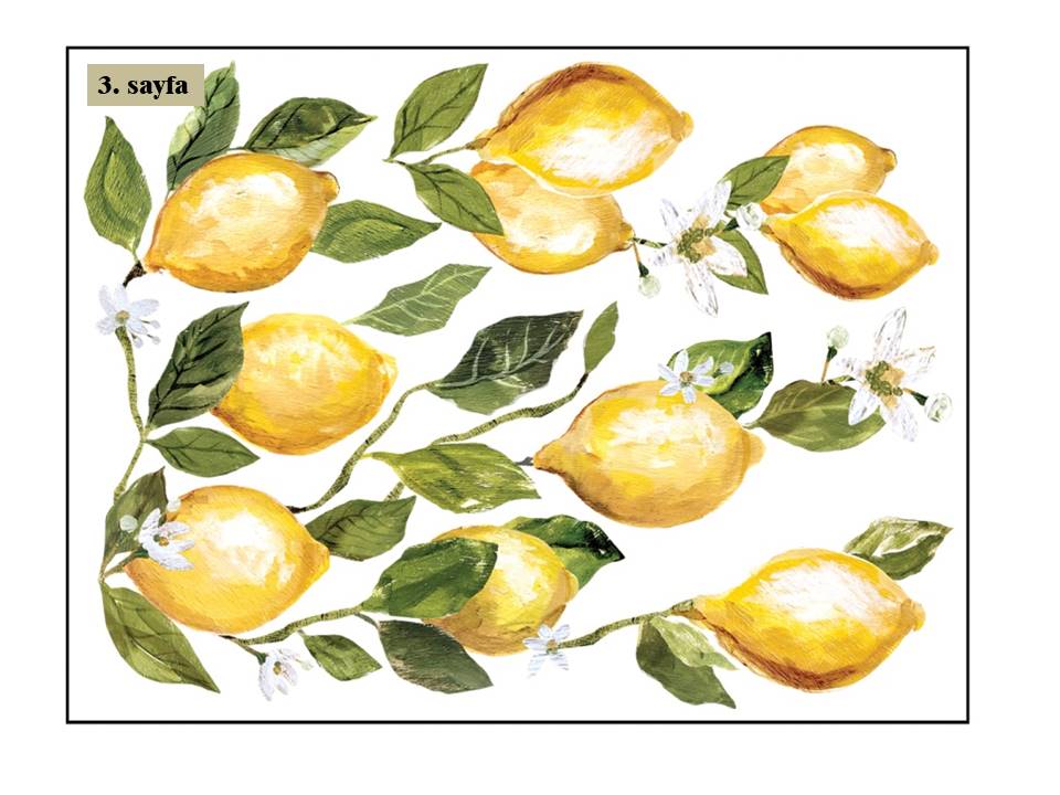 Lemon Drops Decor Transfer Pad 40x30cm (4 sayfa)