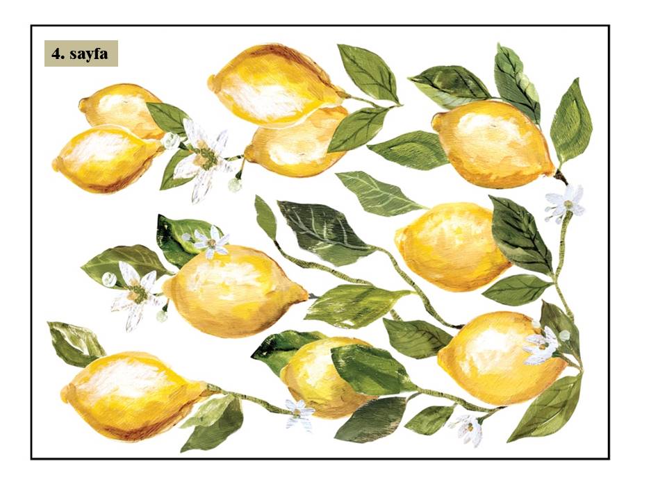 Lemon Drops Decor Transfer Pad 40x30cm (4 sayfa)