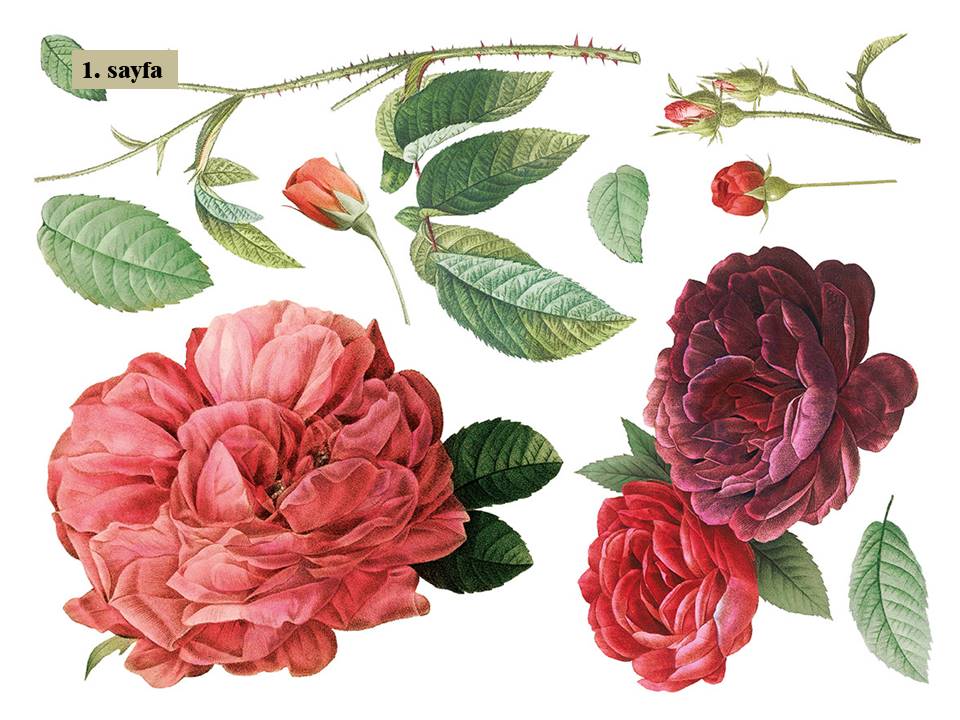 Redoute II Decor Transfer Pad 40x30cm (8 sayfa)