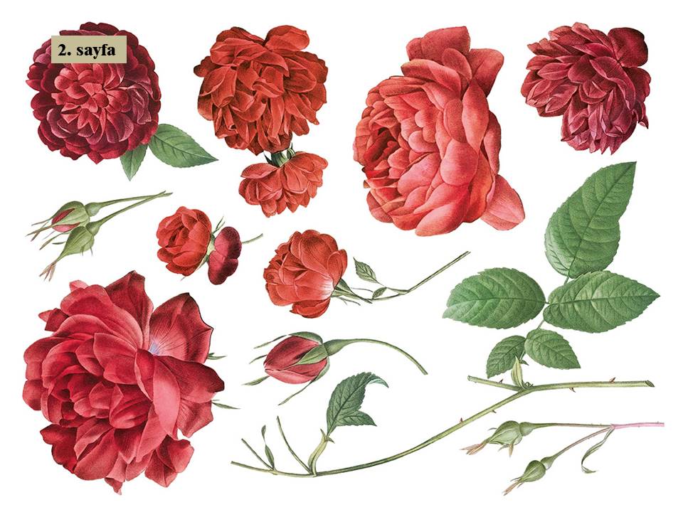 Redoute II Decor Transfer Pad 40x30cm (8 sayfa)