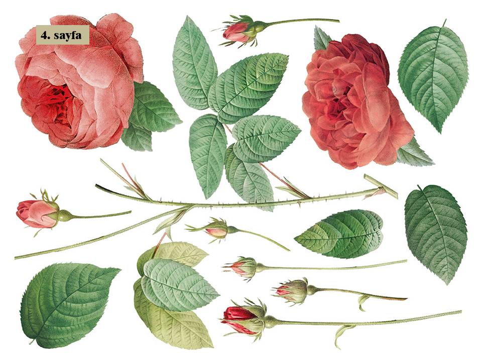 Redoute II Decor Transfer Pad 40x30cm (8 sayfa)