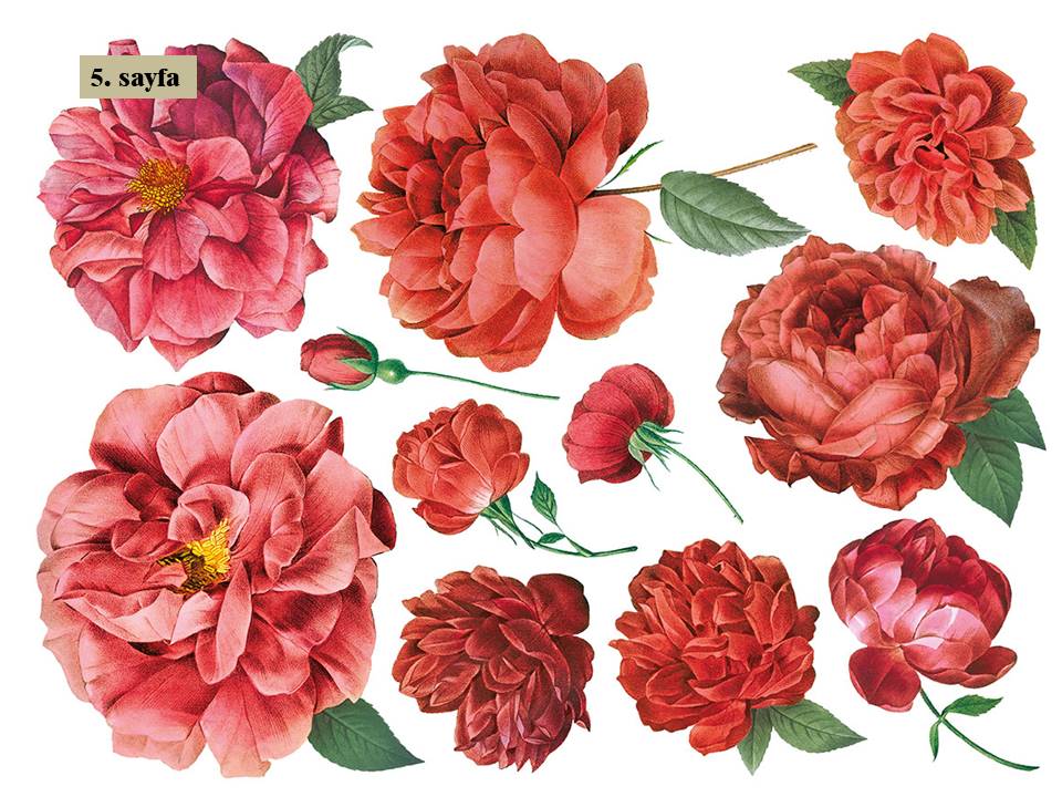 Redoute II Decor Transfer Pad 40x30cm (8 sayfa)