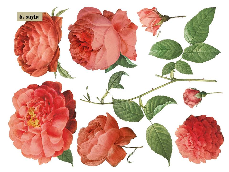 Redoute II Decor Transfer Pad 40x30cm (8 sayfa)