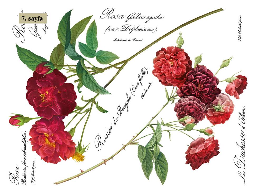 Redoute II Decor Transfer Pad 40x30cm (8 sayfa)