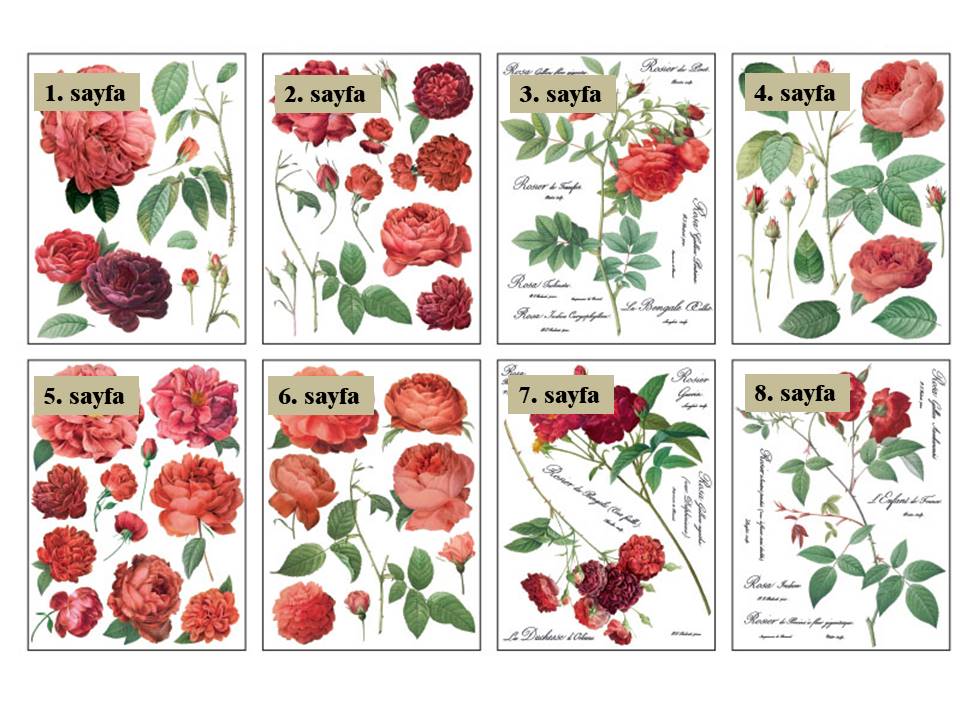 Redoute II Decor Transfer Pad 40x30cm (8 sayfa)