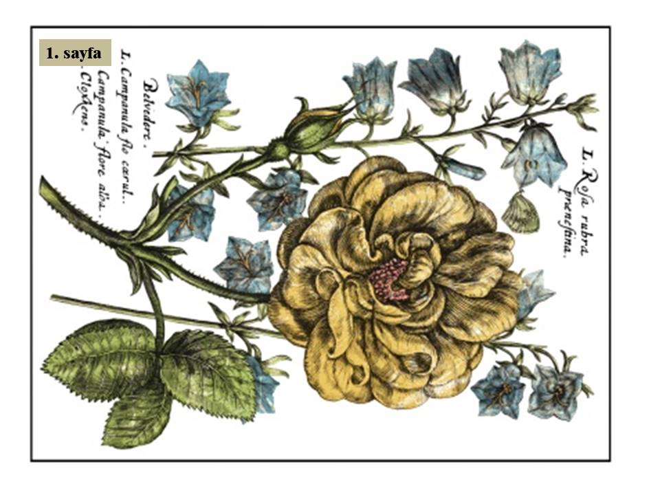 Ladies in Waiting Decor Transfer Pad 40x30cm (4 sayfa)