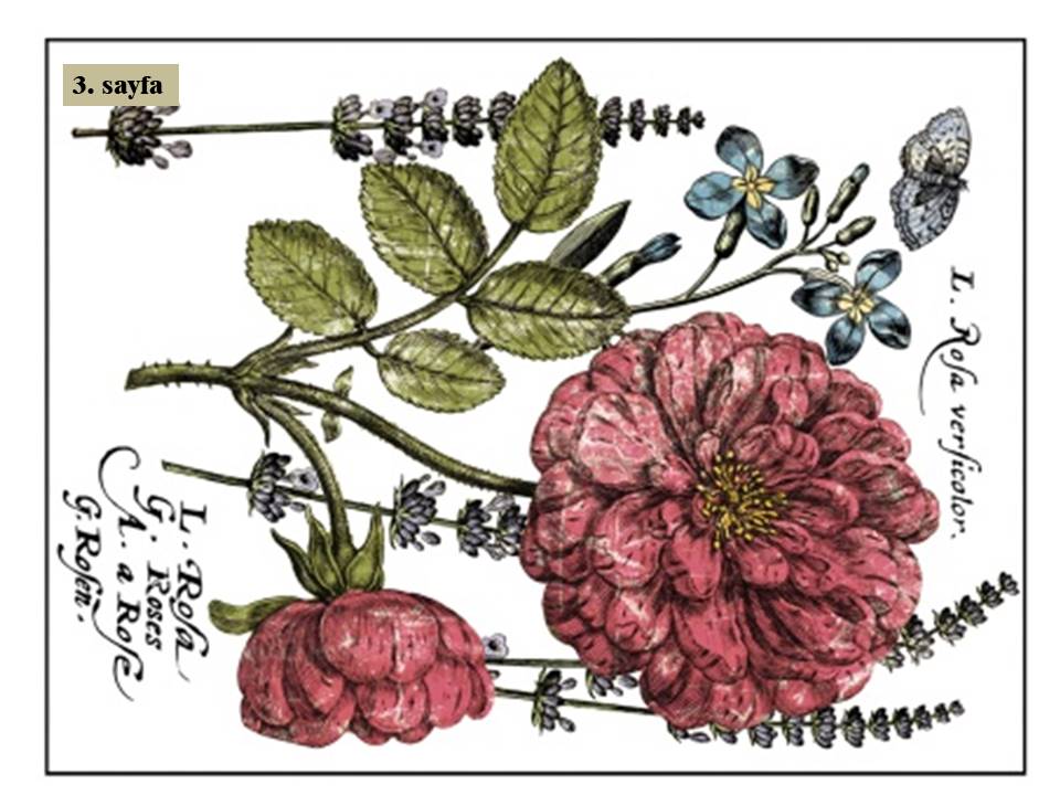 Ladies in Waiting Decor Transfer Pad 40x30cm (4 sayfa)