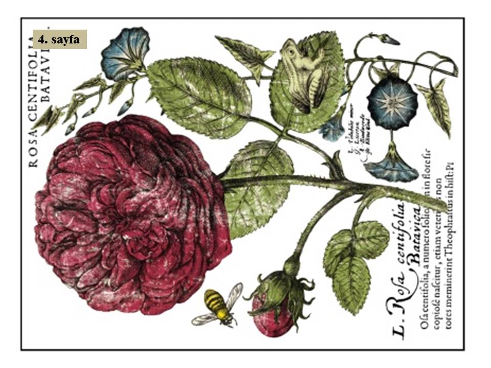 Ladies in Waiting Decor Transfer Pad 40x30cm (4 sayfa)