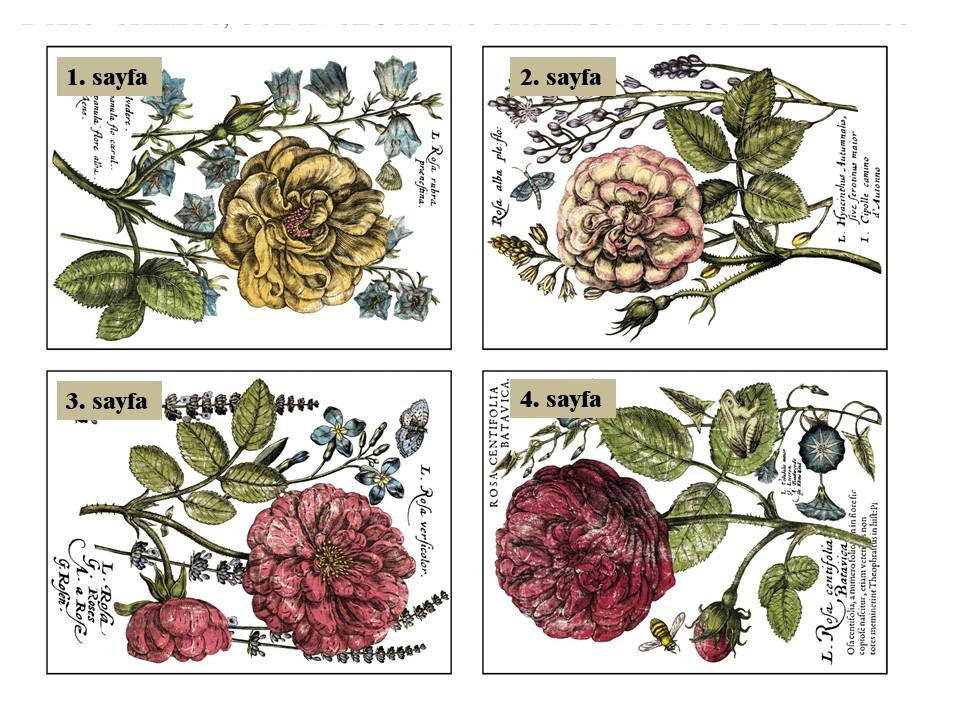 Ladies in Waiting Decor Transfer Pad 40x30cm (4 sayfa)