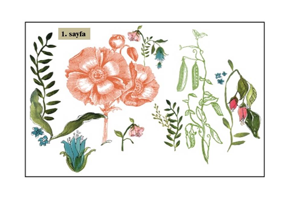 Wander Transfer Pad 40x30cm (4 sayfa)